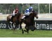  Carrera: P.Marcos Carmena Monta: Sr.Pineda G. Caballo: Gimme Love